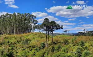  sitio em rio dos cedros