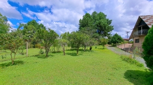  casa no pinhal