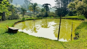  sitio em rio dos cedros