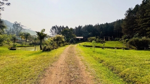  sitio em rio dos cedros