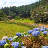  sitio em rio dos cedros