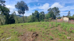  terreno na represa palmeiras