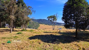  terreno rural em rio dos cedros