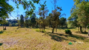  terreno rural em rio dos cedros