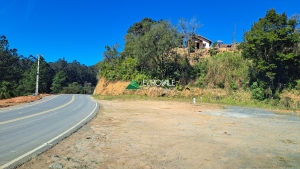  terreno em palmeiras