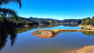  casa em palmeiras