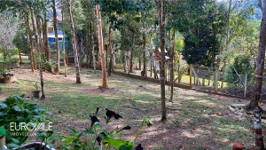  casa na represa palmeiras