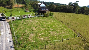  terreno em palmeiras
