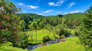 sitio em palmeiras