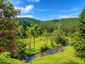  cachoeira