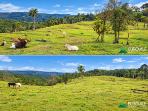 sitio em rio dos cedros