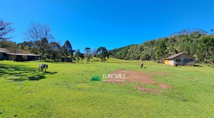 Imóvel Rural no Alto Cedros