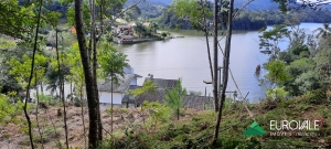  Terreno em Palmeiras