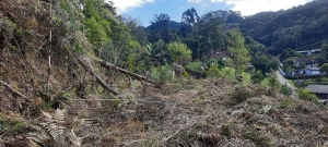 Terreno em Palmeiras