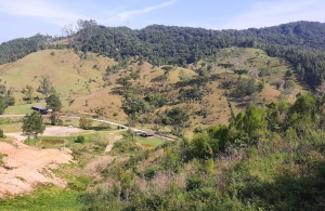  sitio