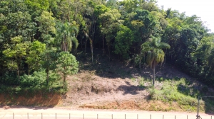  terreno em palmeiras