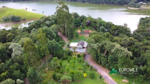  casa em palmeiras