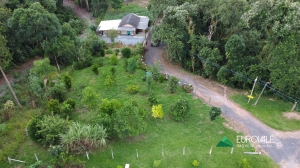  casa em palmeiras