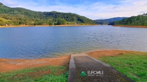   casa na represa palmeiras