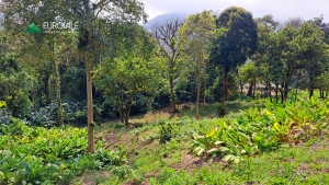  Terreno no Rio Bonito