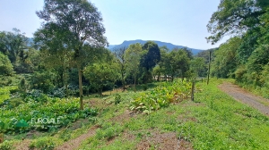  Terreno no Rio Bonito