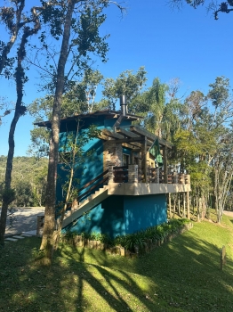  araponga