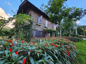 casa na represa palmeiras