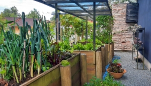  horta
