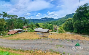  terreno em palmeiras