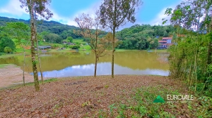  terreno em palmeiras