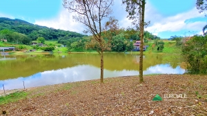 terreno em palmeiras