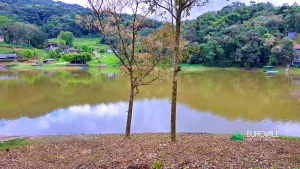  terreno em palmeiras