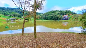  terreno em palmeiras