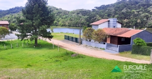  terreno em palmeiras