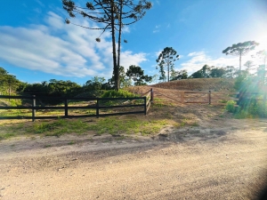  sitio no pinhal