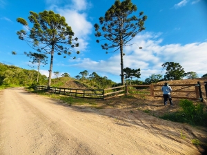  sitio no pinhal