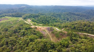  área verde