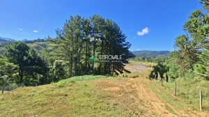  terreno em palmeiras