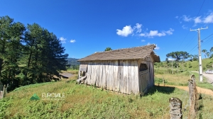  terreno em palmeiras