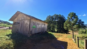  terreno em palmeiras