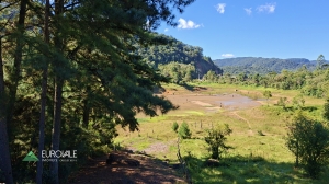  terreno em palmeiras