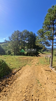  terreno em palmeiras