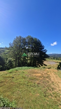  terreno em palmeiras