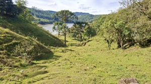  terreno em palmeiras rio dos cedros