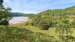  terreno em palmeiras rio dos cedros