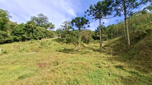  terreno em palmeiras rio dos cedros