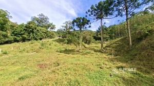  terreno na represa de palmeiras