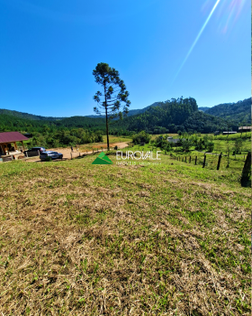  terreno em palmeiras