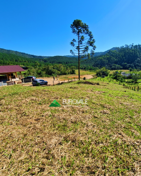  terreno em palmeiras