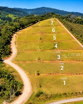  terreno em palmeiras